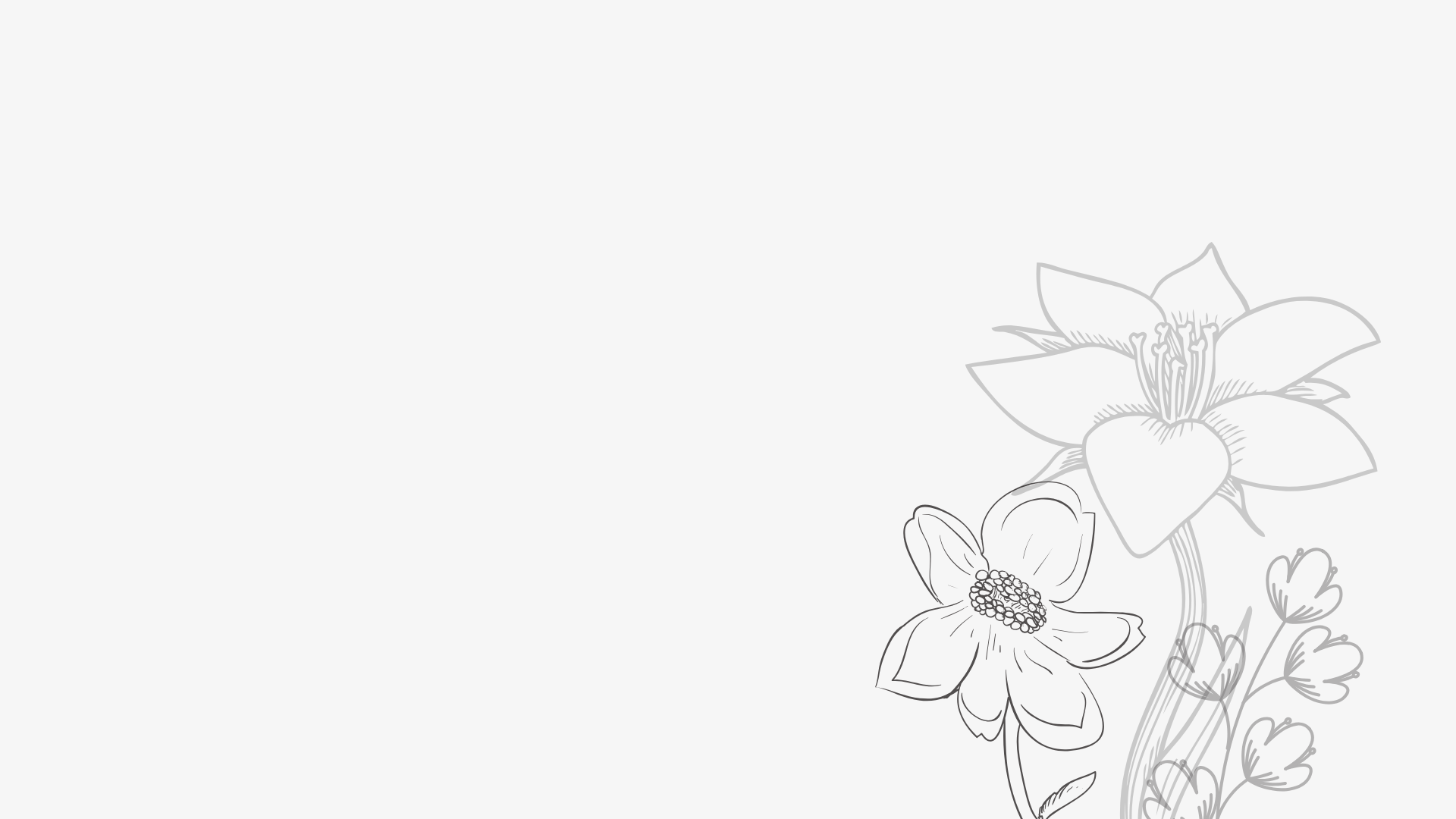 SarahWebsiteBackground .png