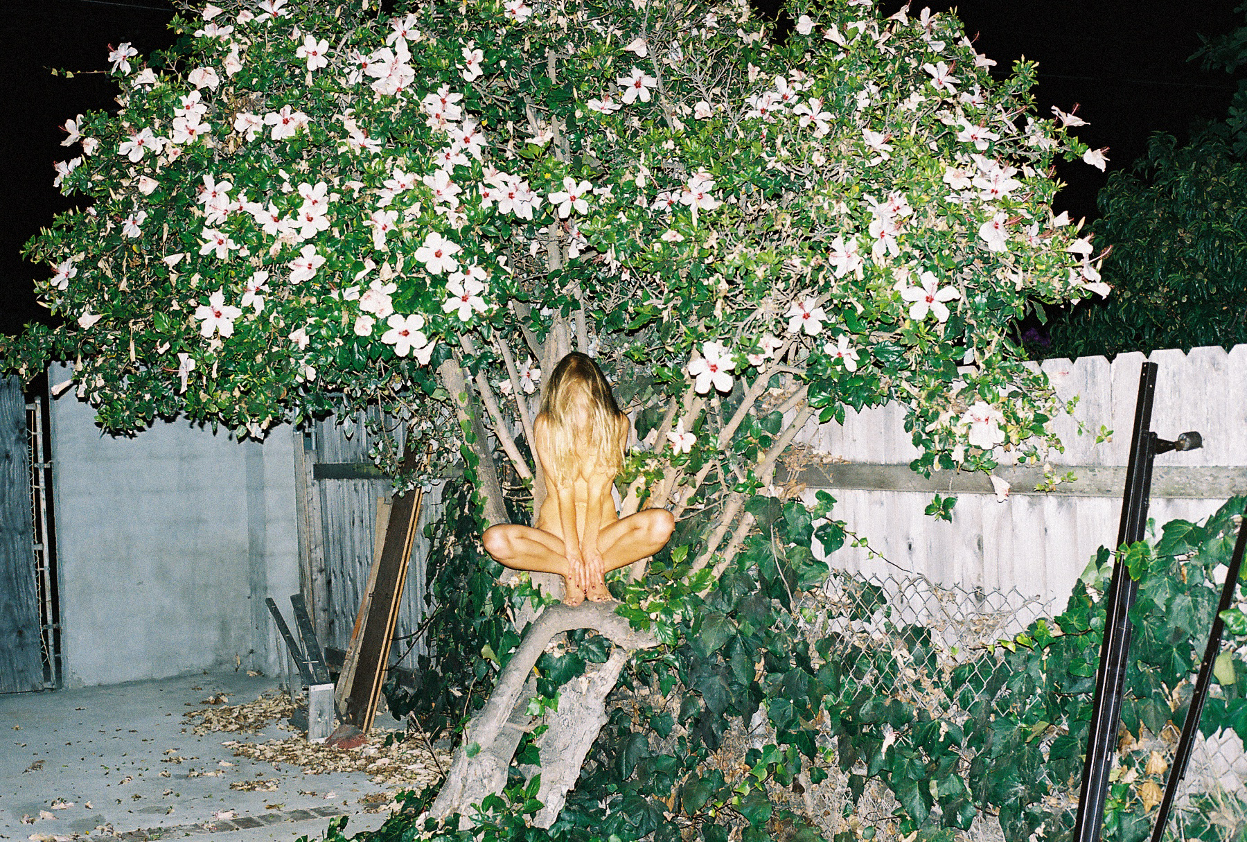 ryan_bailey_tumblr_13.jpg