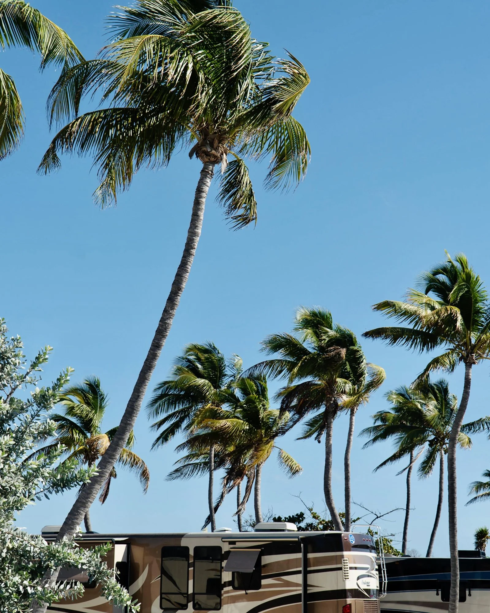 SS_GO_RV_FL_08.jpg