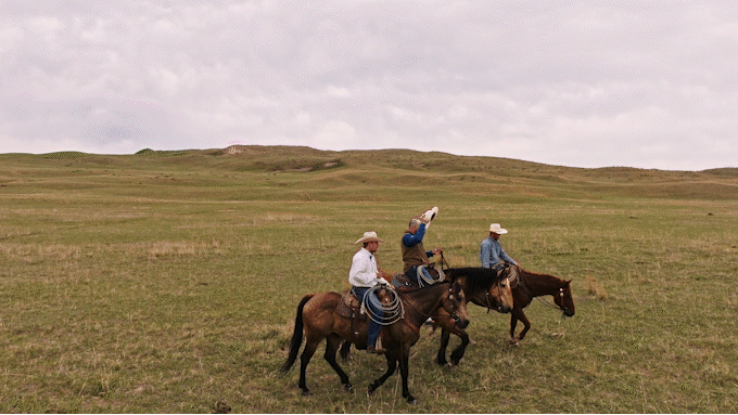 spring_lake_ranch (2160p)_3.gif