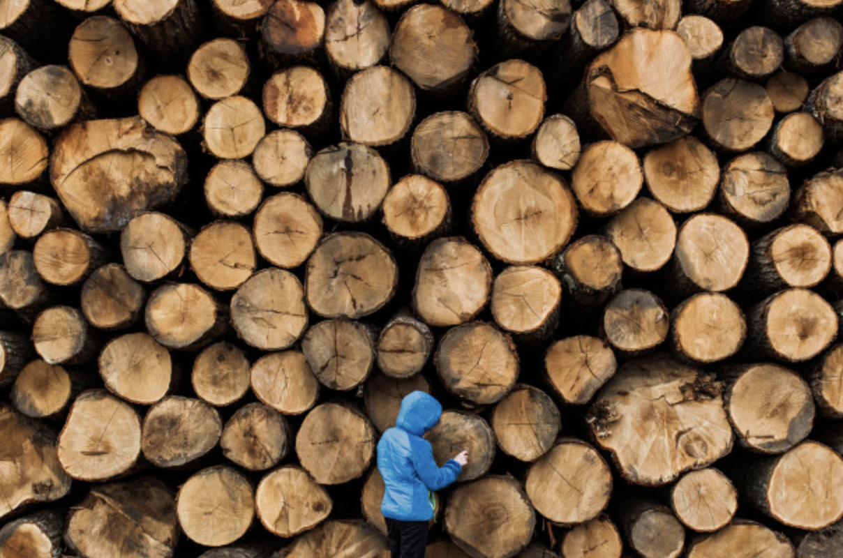 Screenshot 2023-11-28 at 1.28.02 PM.png