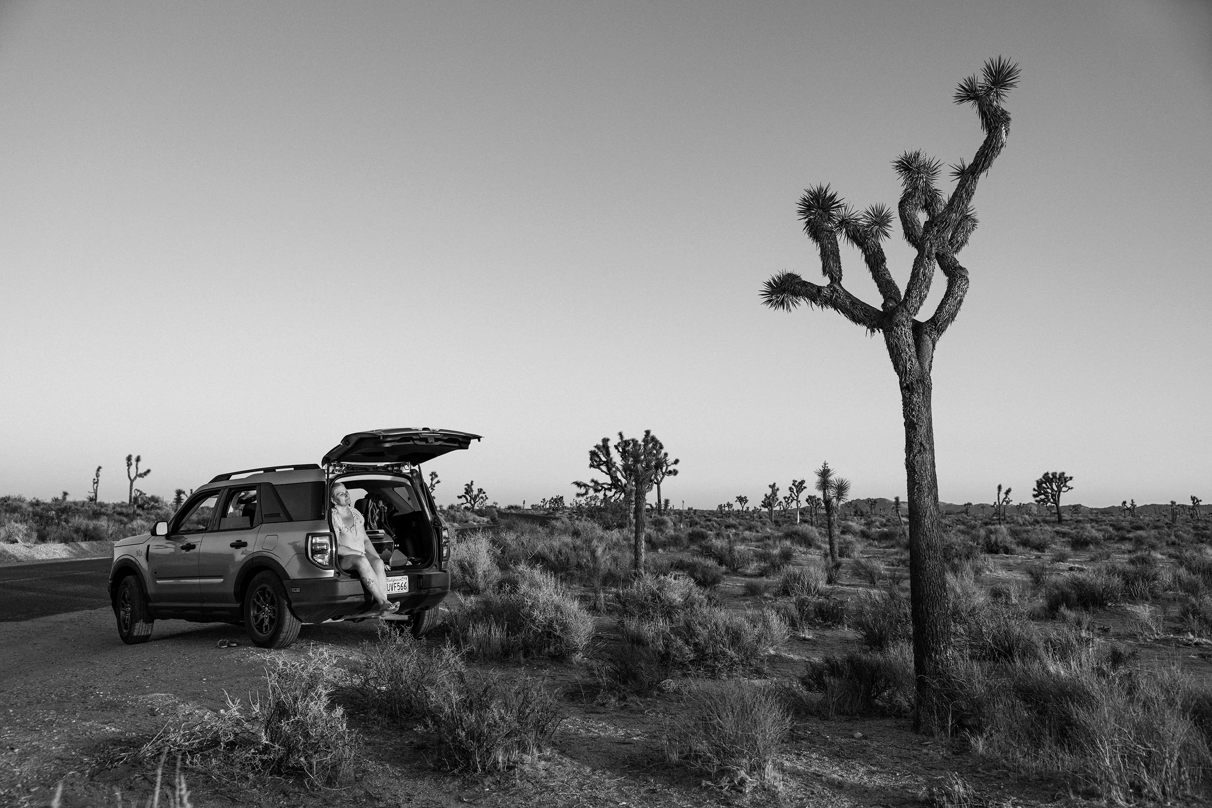 SS_FORD_BRONCO_007.jpg