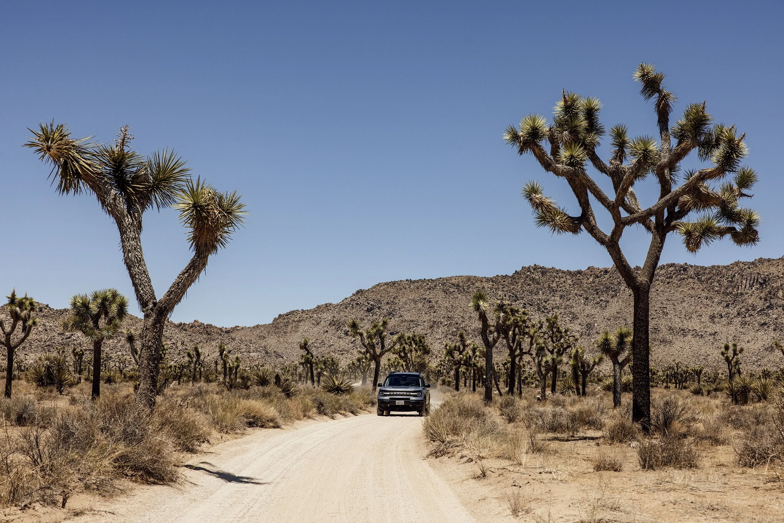 SS_FORD_BRONCO_012.jpg