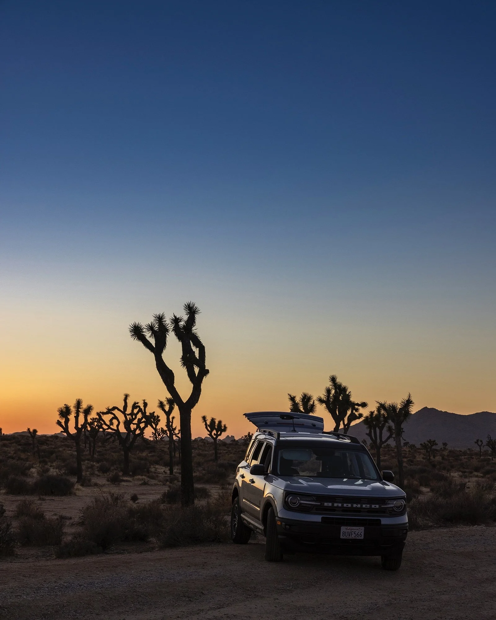 SS_FORD_BRONCO_020.jpg