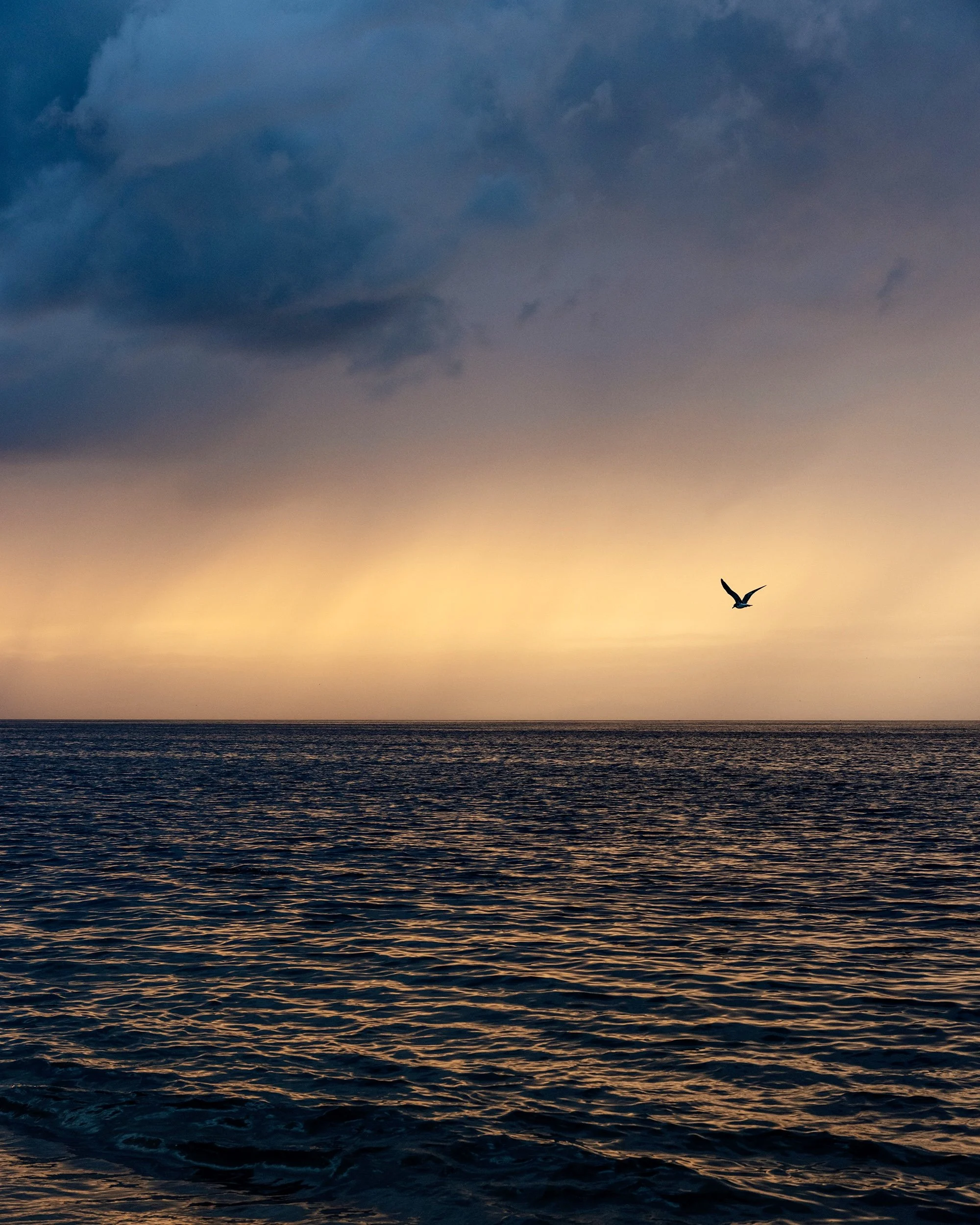 SS_PTOWN_049.jpg