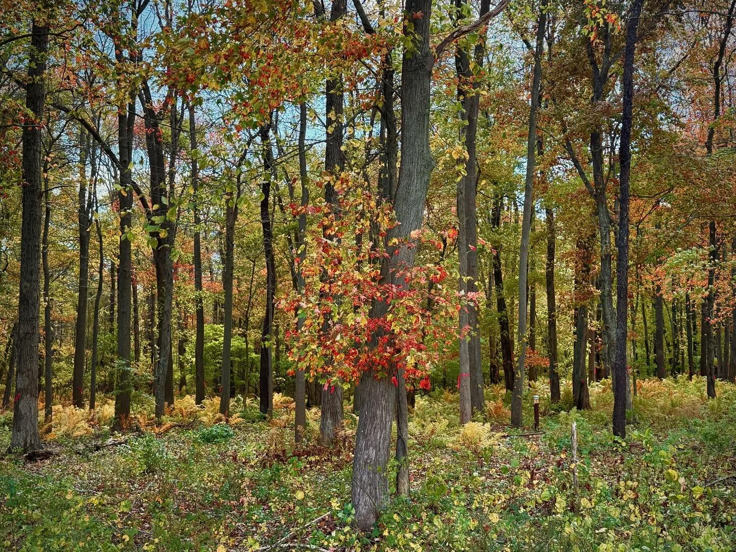 Bristol, RI. Fall has arrived.