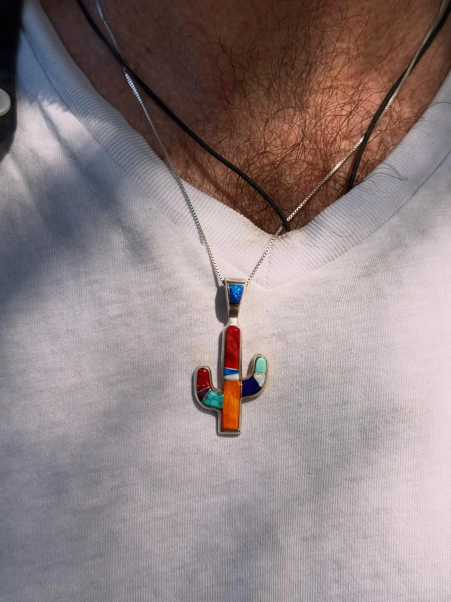 Scenes from Tucson, AZ.