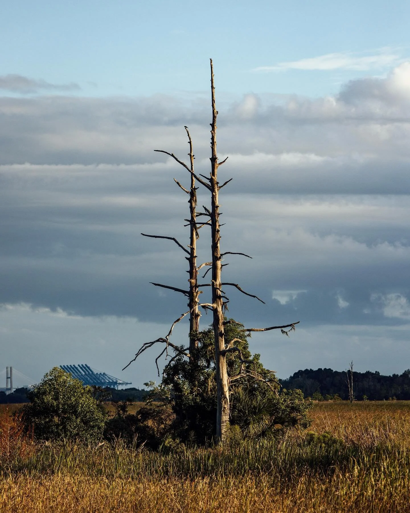 Scenes from Blufftn, SC.