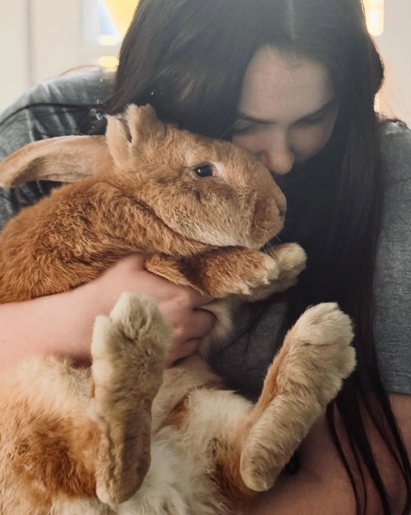 Scene around Sweet Bean Farm today.