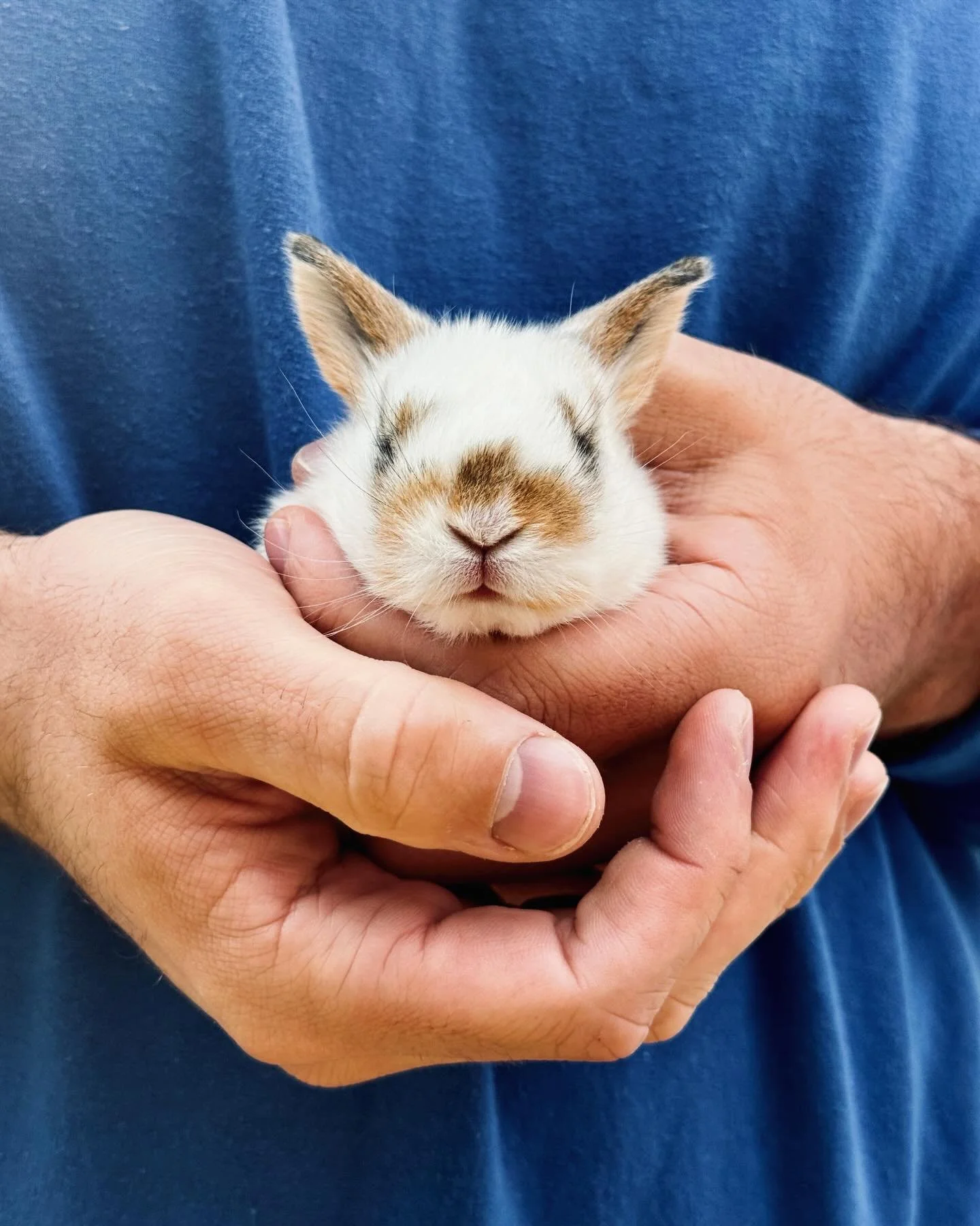 John &amp; the baby and Busicuit the beardy!