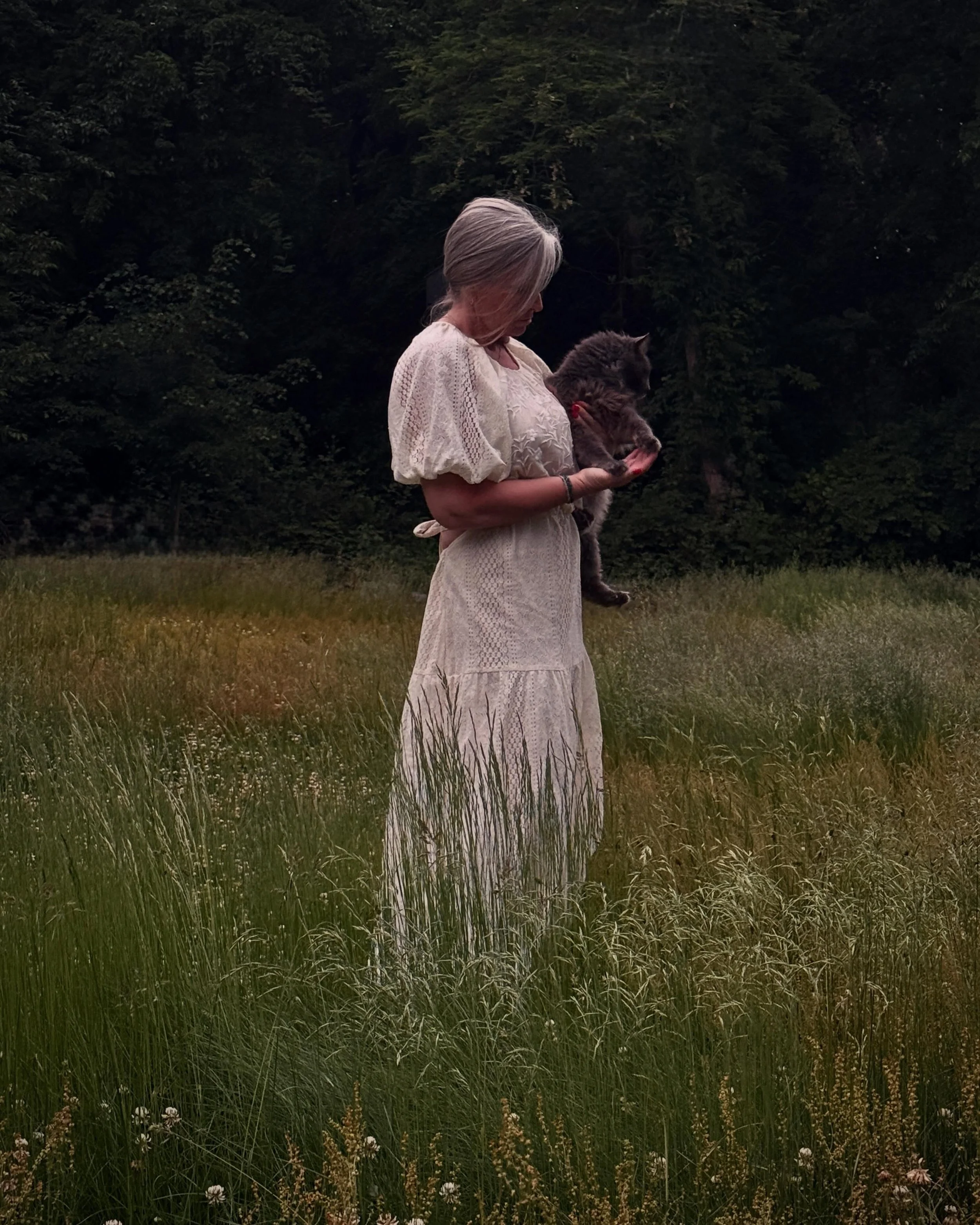 Meadowlark.