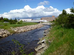 Blanche Brook River