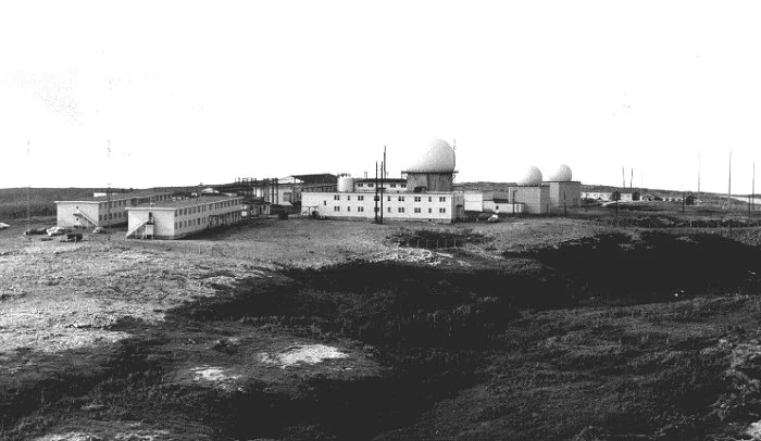 pinetree-1958.jpg