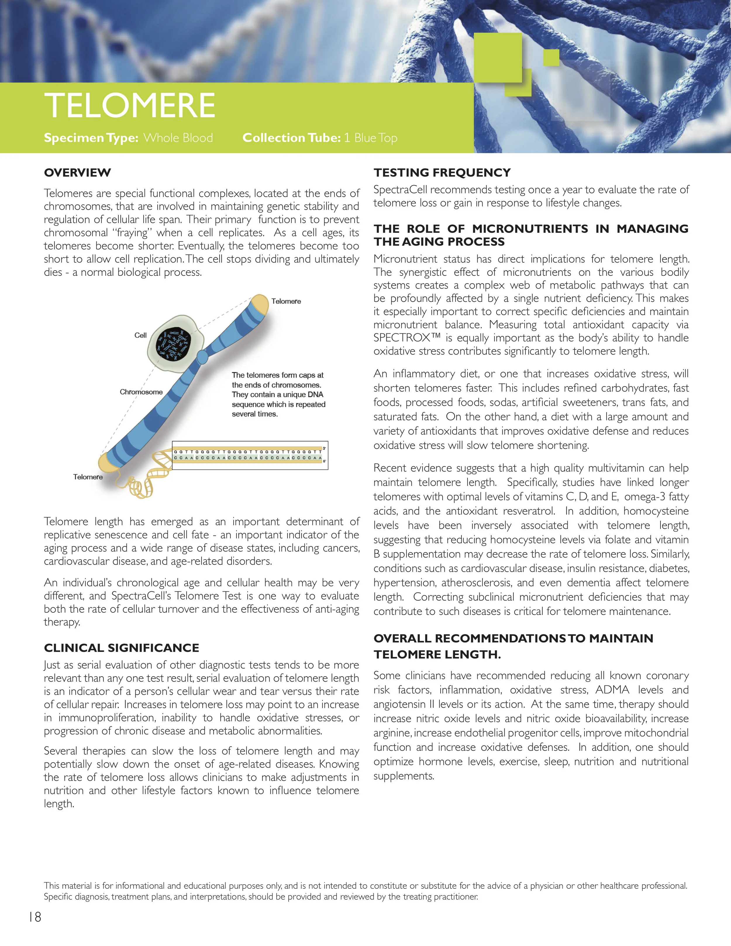 Telomere Panel.jpg