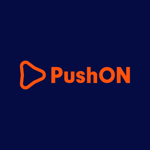PushOn client performance marketing.png