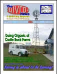 newsletterDN-91.jpg