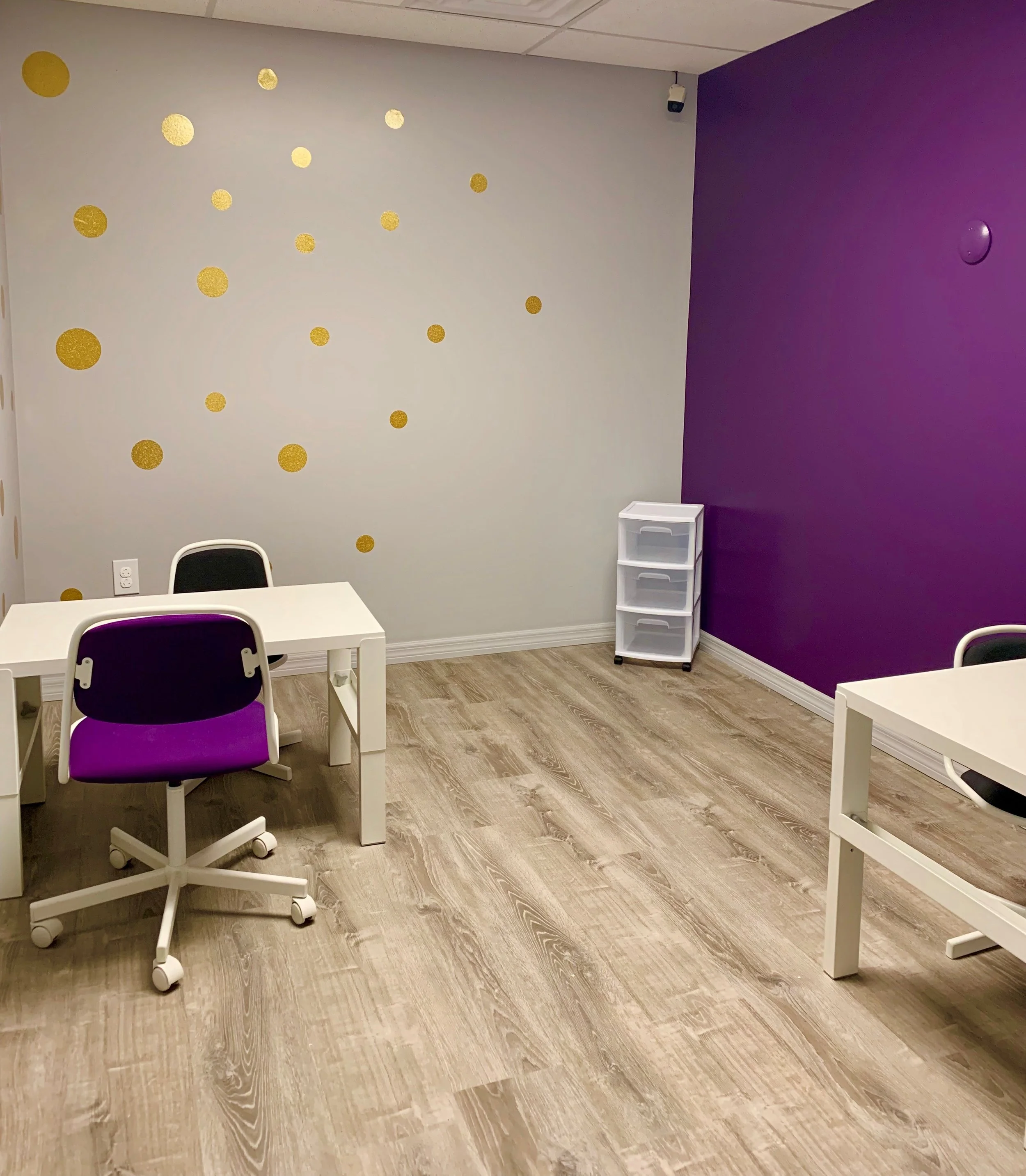 Discrete Trial Training Purple Room