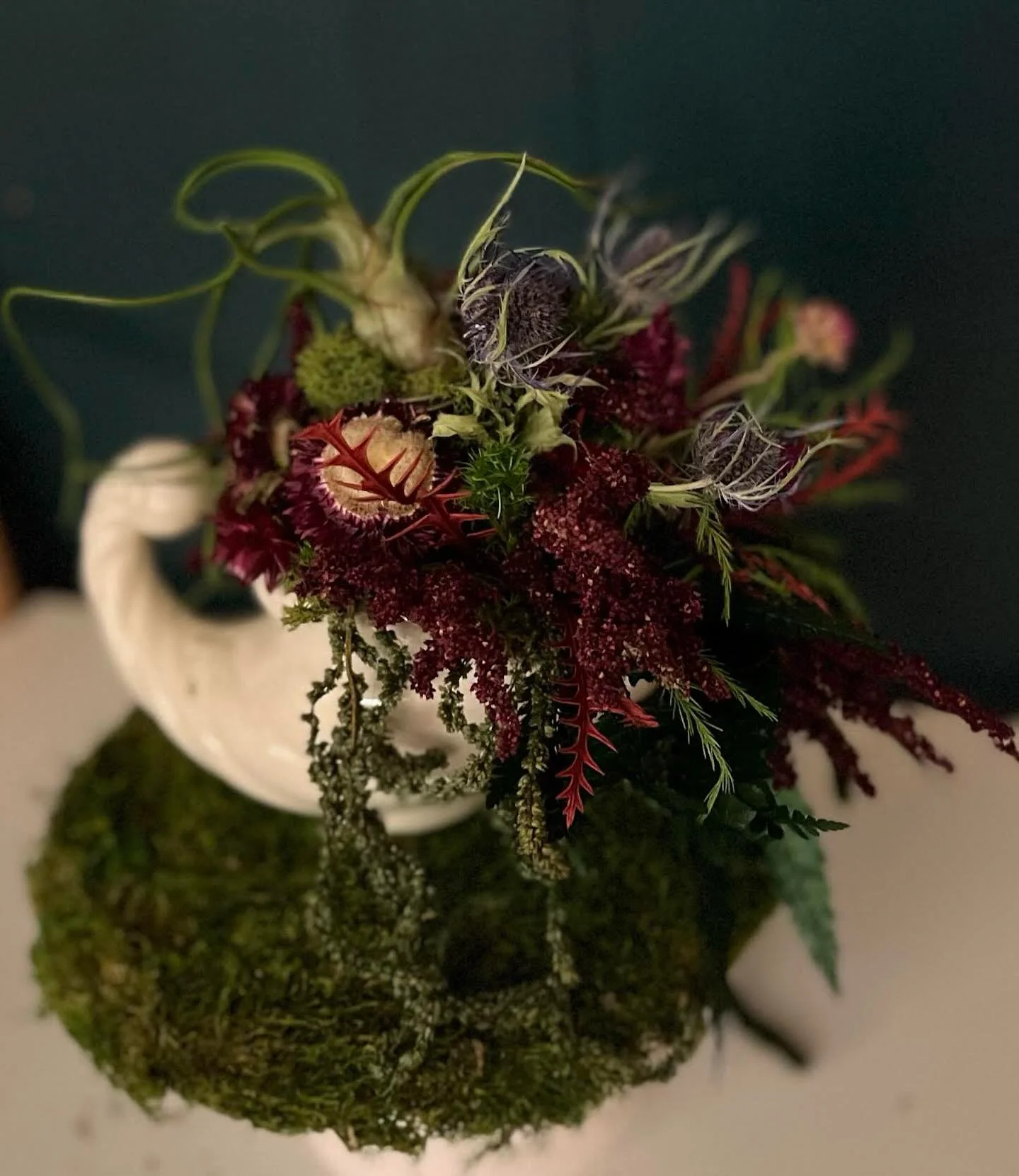 Centerpiece Workshop with Cheryl Tyler of @terraflorame !!!!!!
Thursday 12/18 5:30-7:30PM

Join TerraFlora + Vessel &amp; Vine to create a beautiful seasonal winter centerpiece for
your table or hearth. Using a variety of preserved moss, dried flower