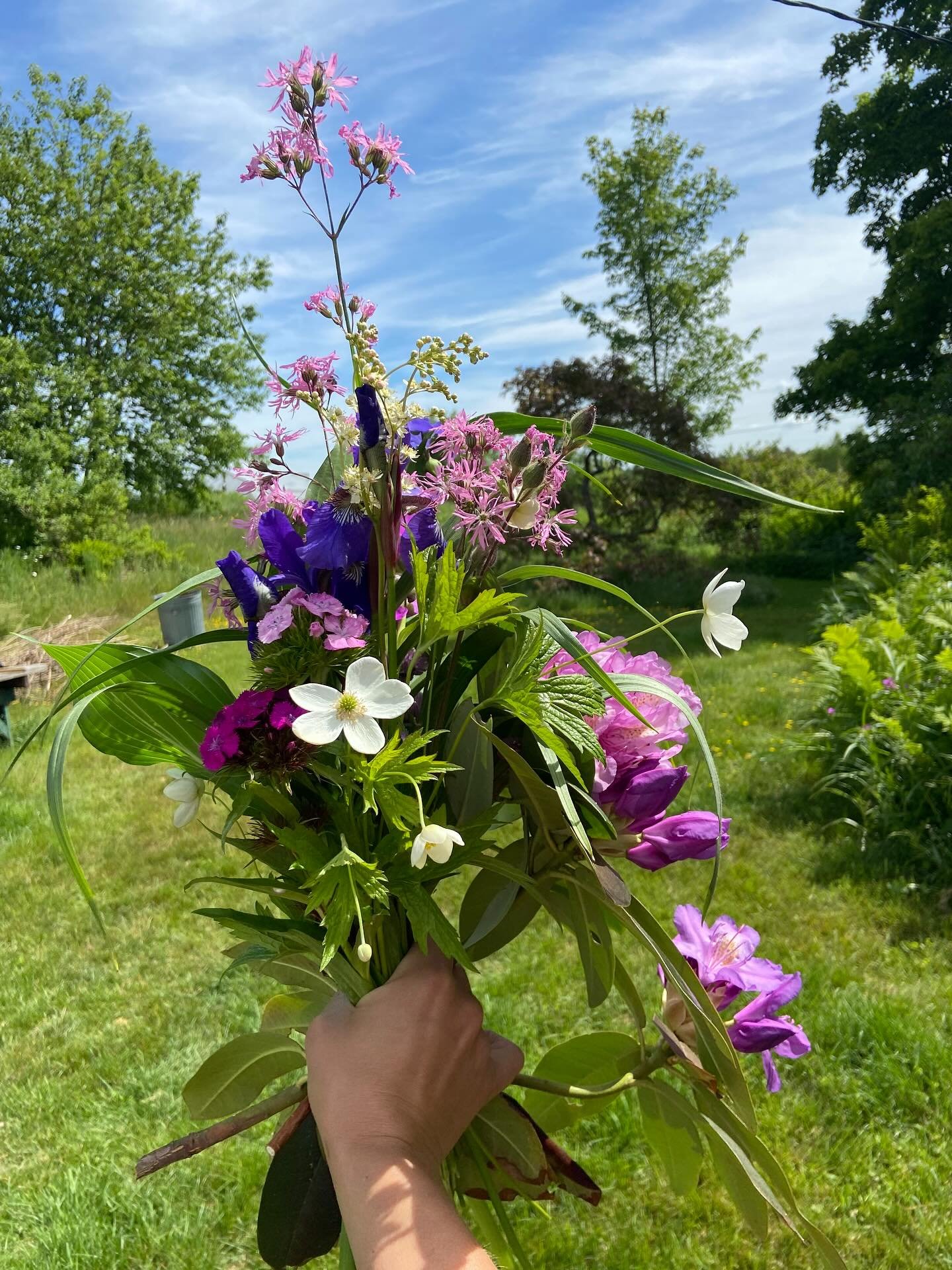 FRIDAY Jan 30
VESSEL AND VINE WILL BE CLOSED - PLAN ACCORDINGLY!

In solidarity with businesses and organizations nationwide - and in protest of the cruel and inhumane immigration policies playing out across our country.  You can read more about this