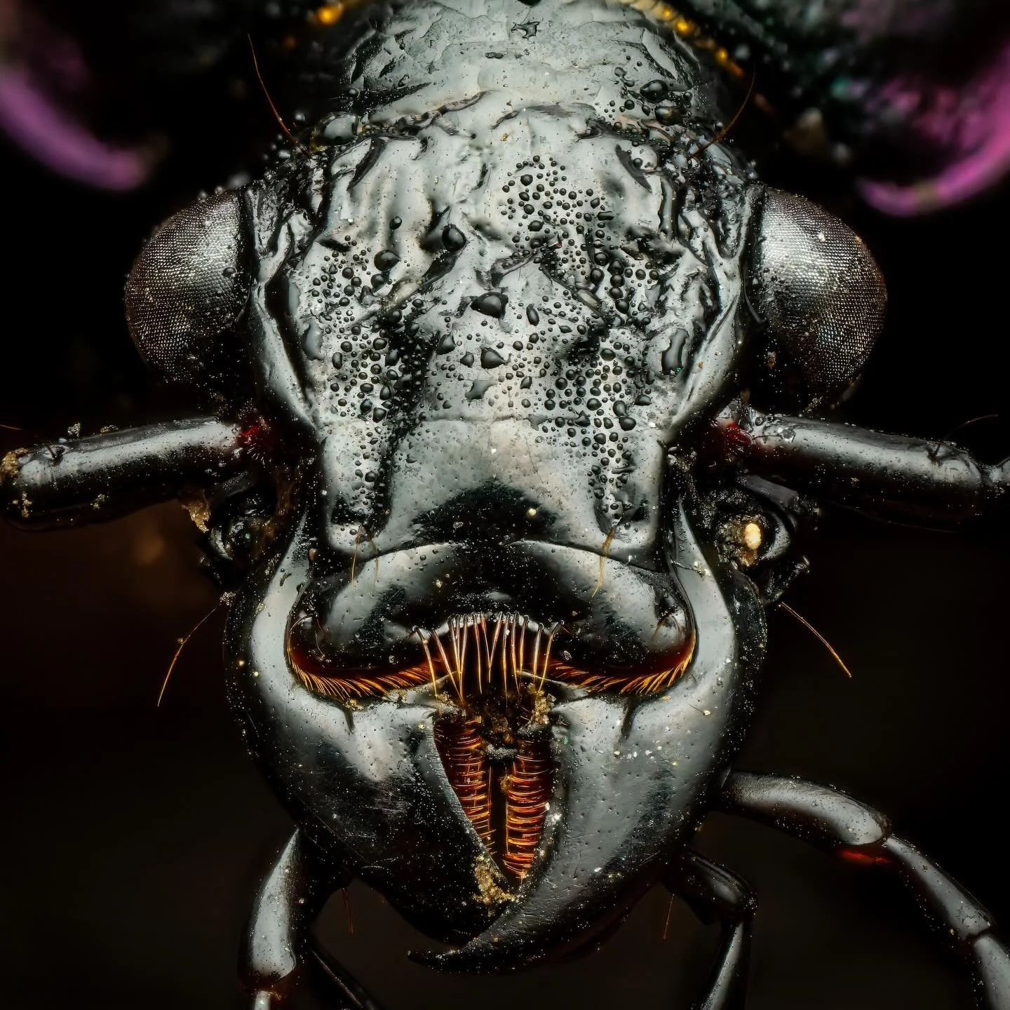 Full Service Friday Art Opening Edition!!!!!
Primordial Pins 
Friday 4/17 5-10ish PM 
We&rsquo;ll have artsy food and drink specials, come hang!!
Who remembers pre covid era art shows at Vessel and Vine?! Our BFF Yennika Ekstrand curated them, and we