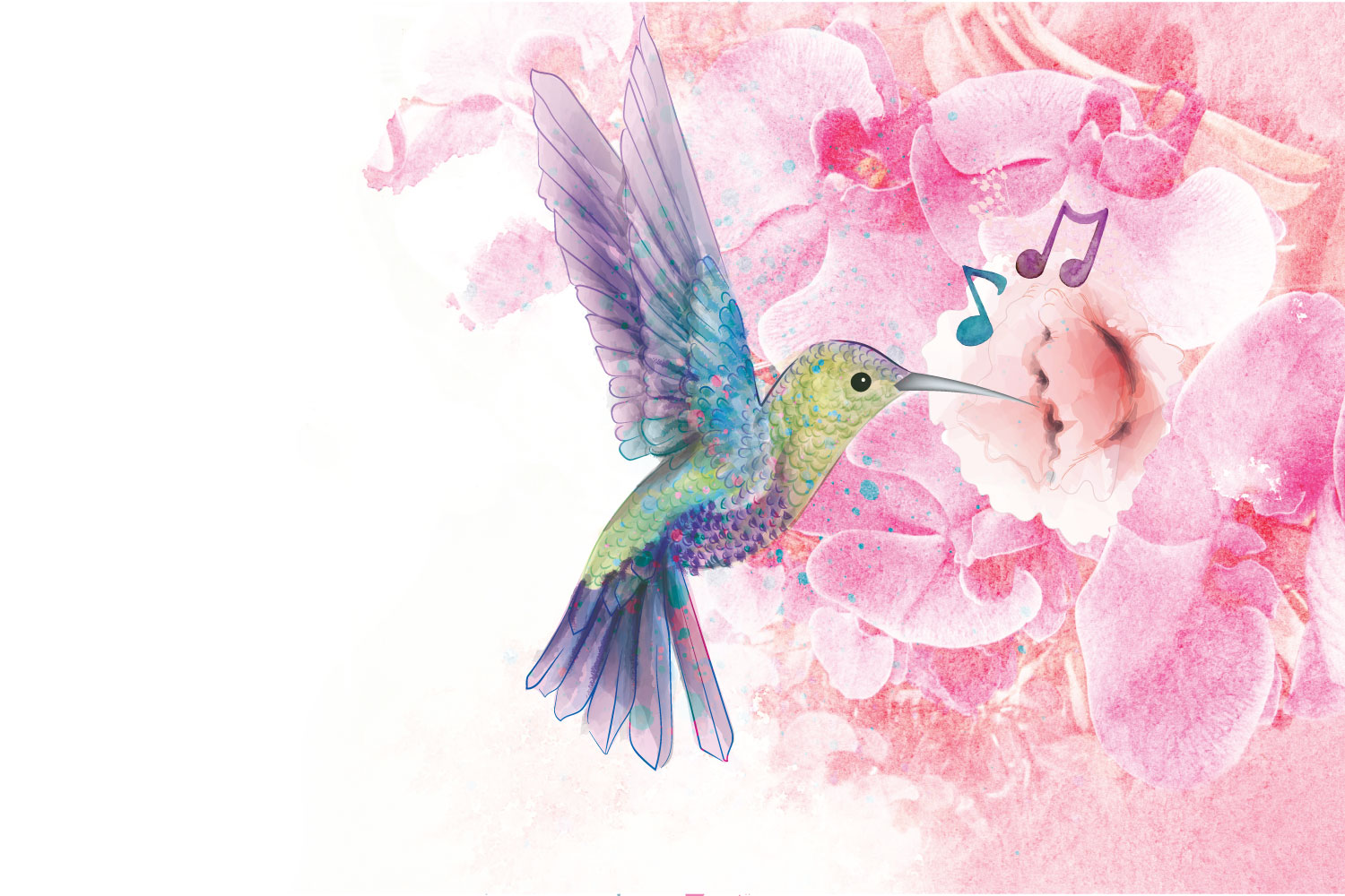 hummingbird.1.jpg