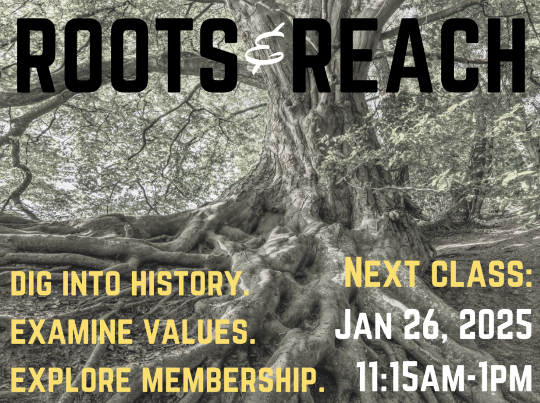Roots &amp; Reach: Explore Membership