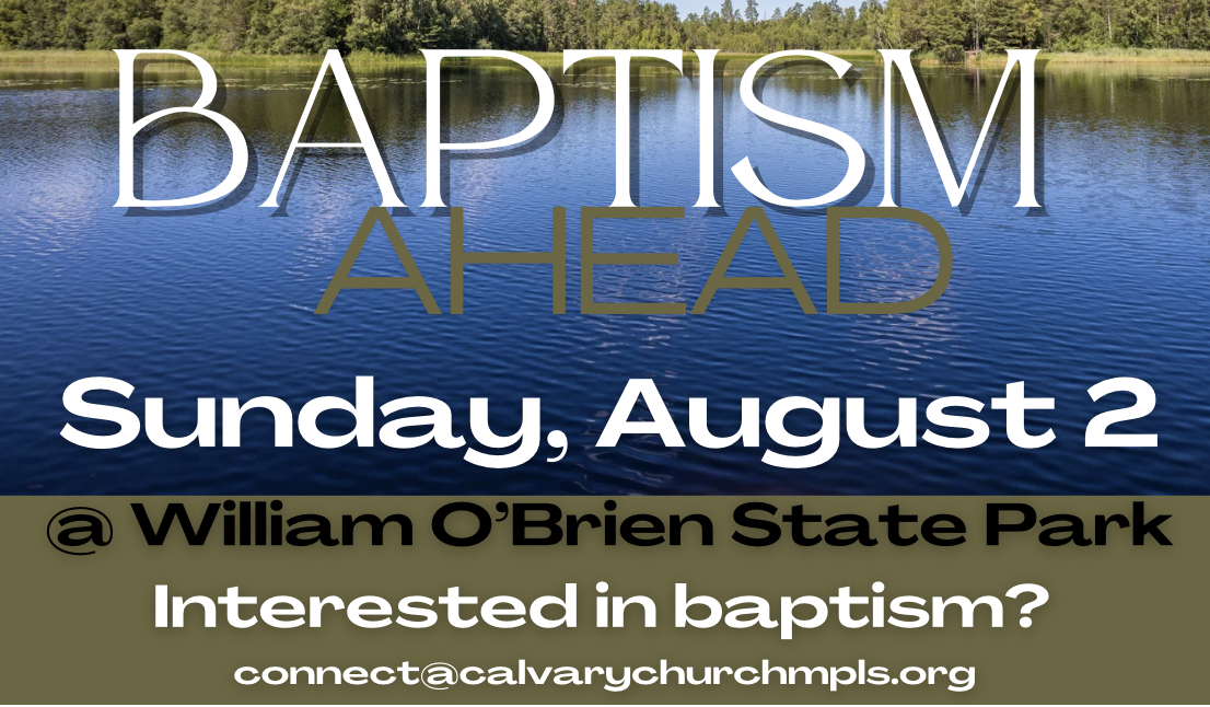Baptism at William O'Brien State Park