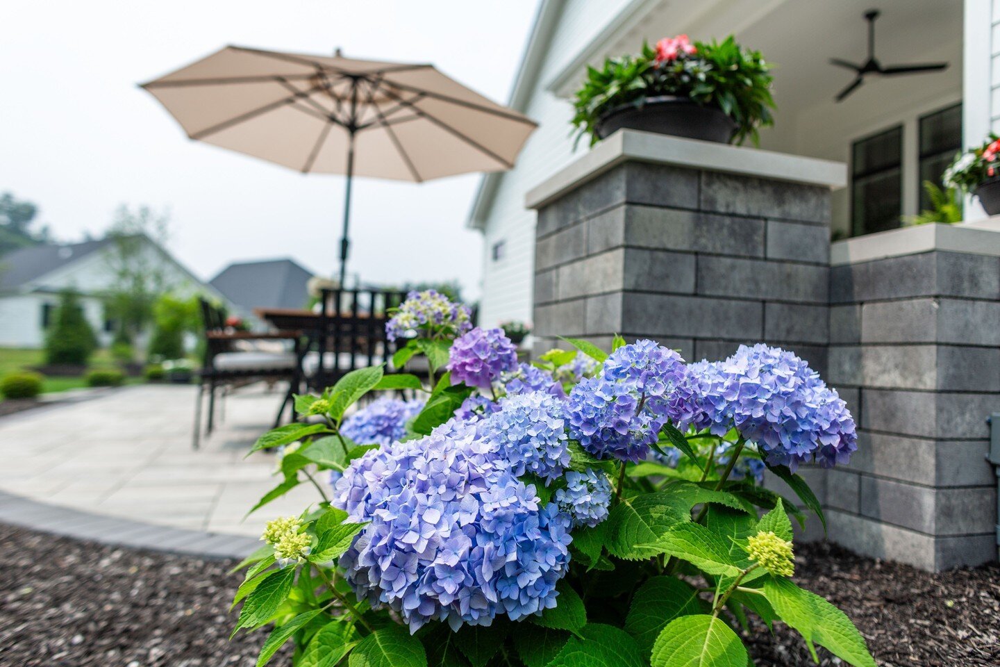 A pop of color goes a long way. Let's talk summer flora to make your outdoor space as perfect as it can be for this summer. 

#columbuslandscaping #columbusgardens #yarddesign #luxurylandscaping #backyardenvy #dreambackyards #hydrangeabush #westervil