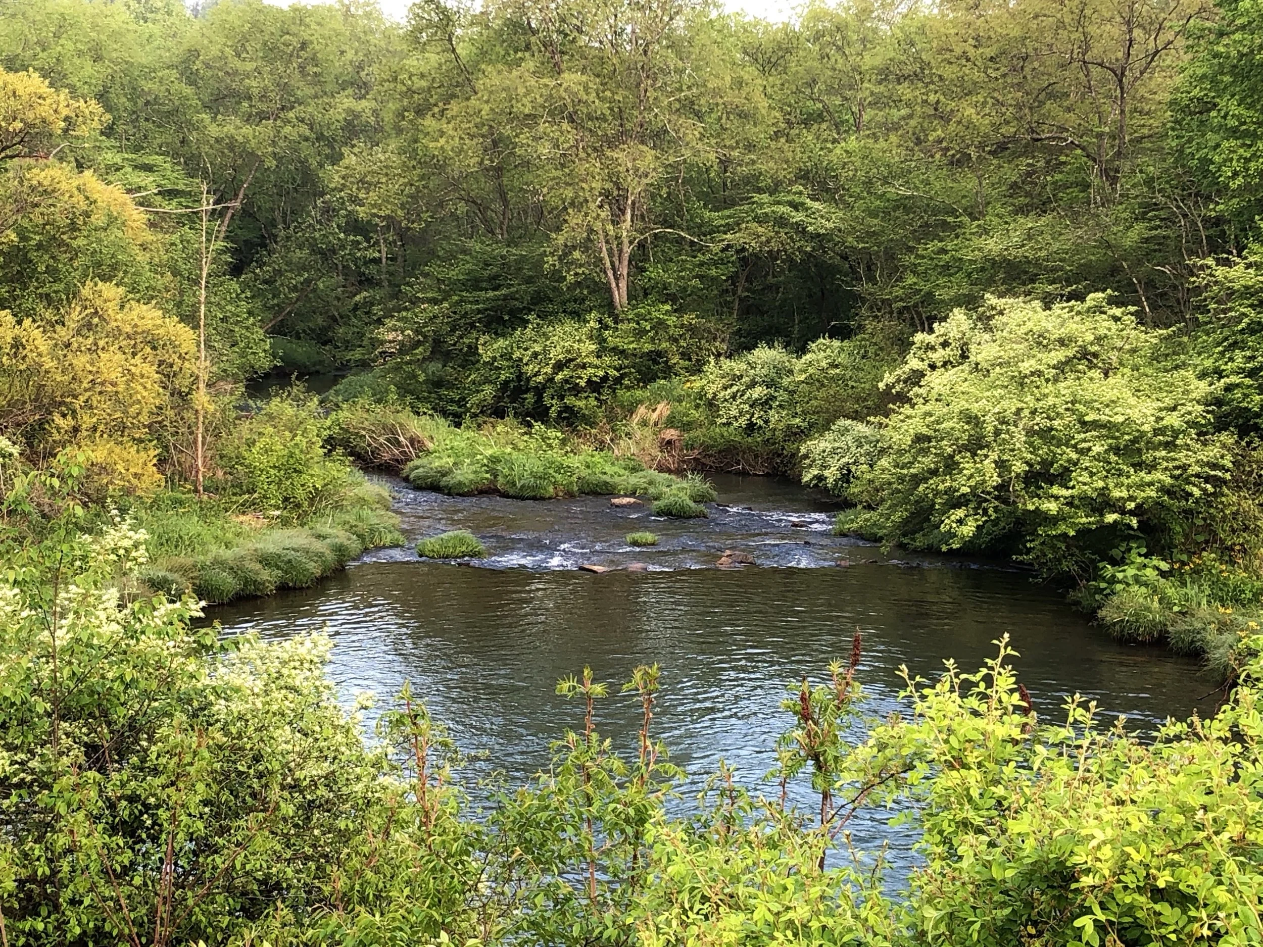 Piney Creek runs through the campground