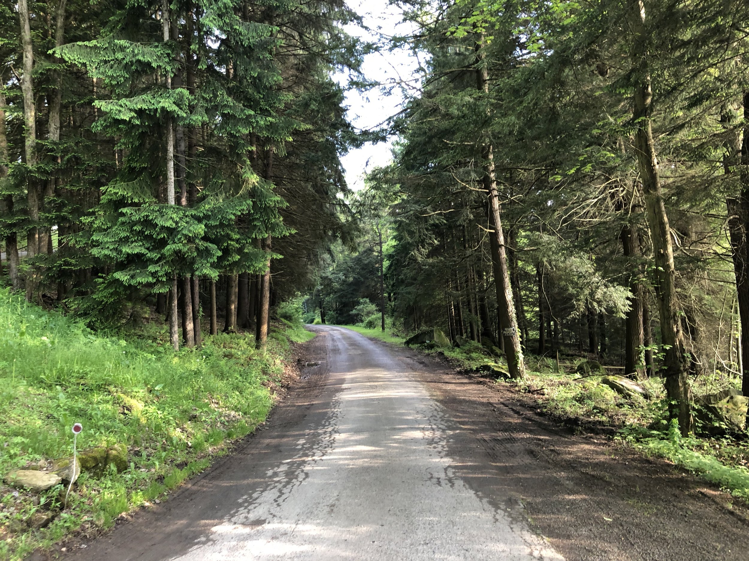 Even the road into Penn Wood Campground is beautiful.