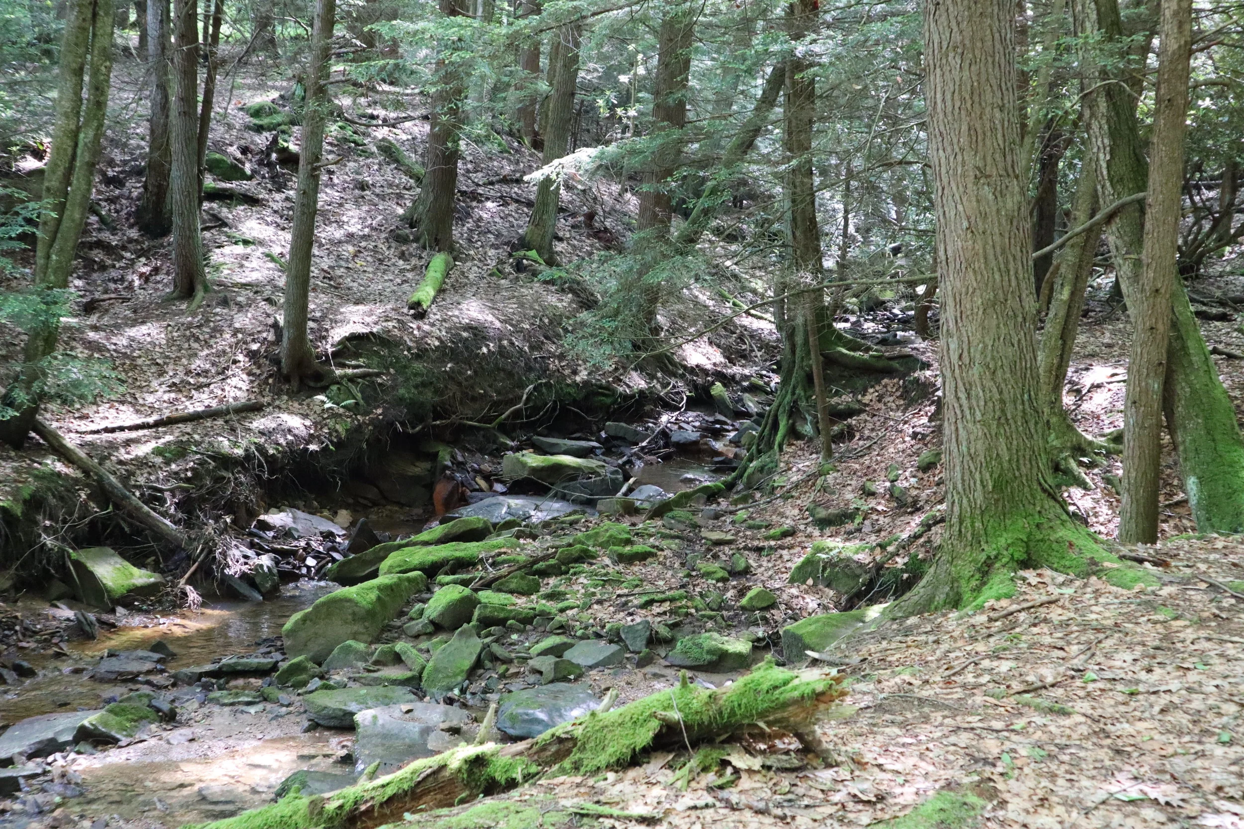 We crossed this creek a number of times…