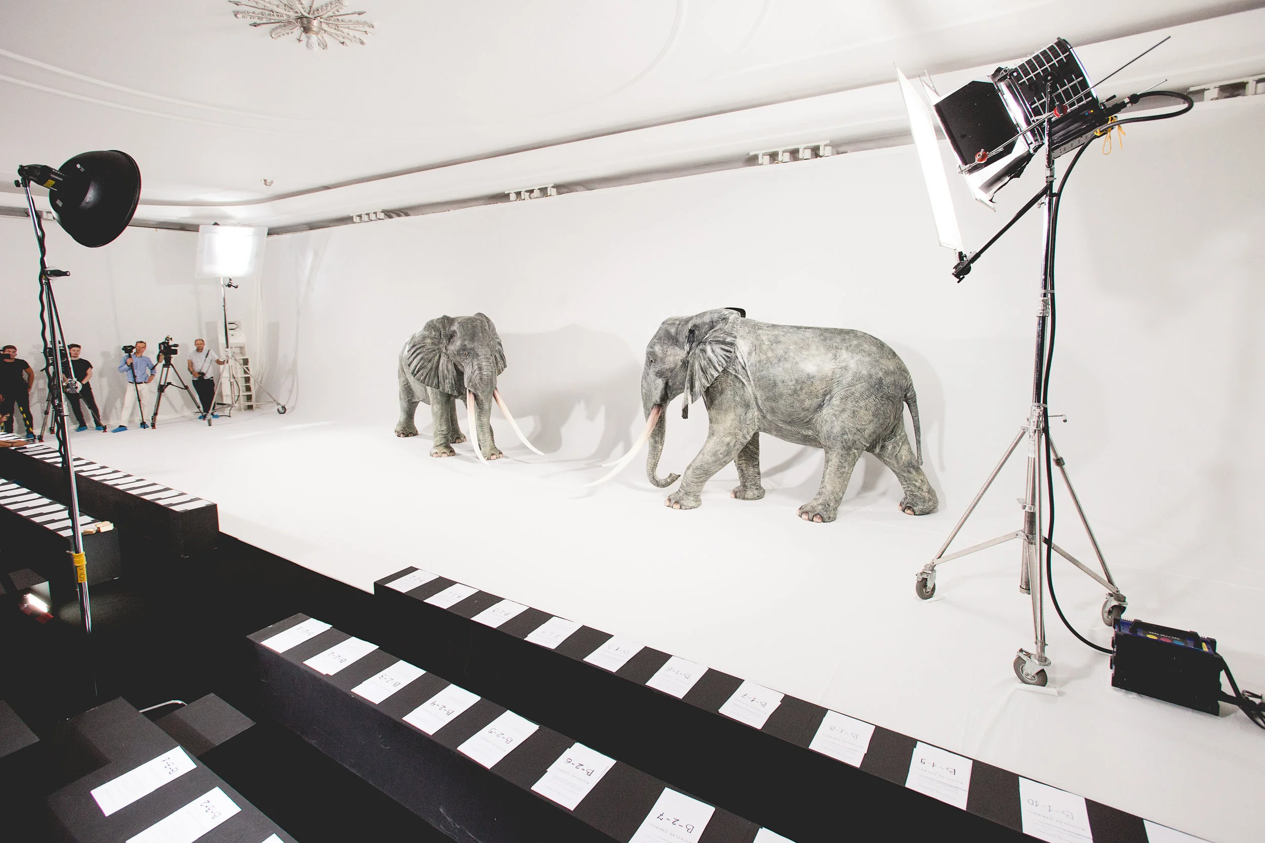  Fashion Show Production 