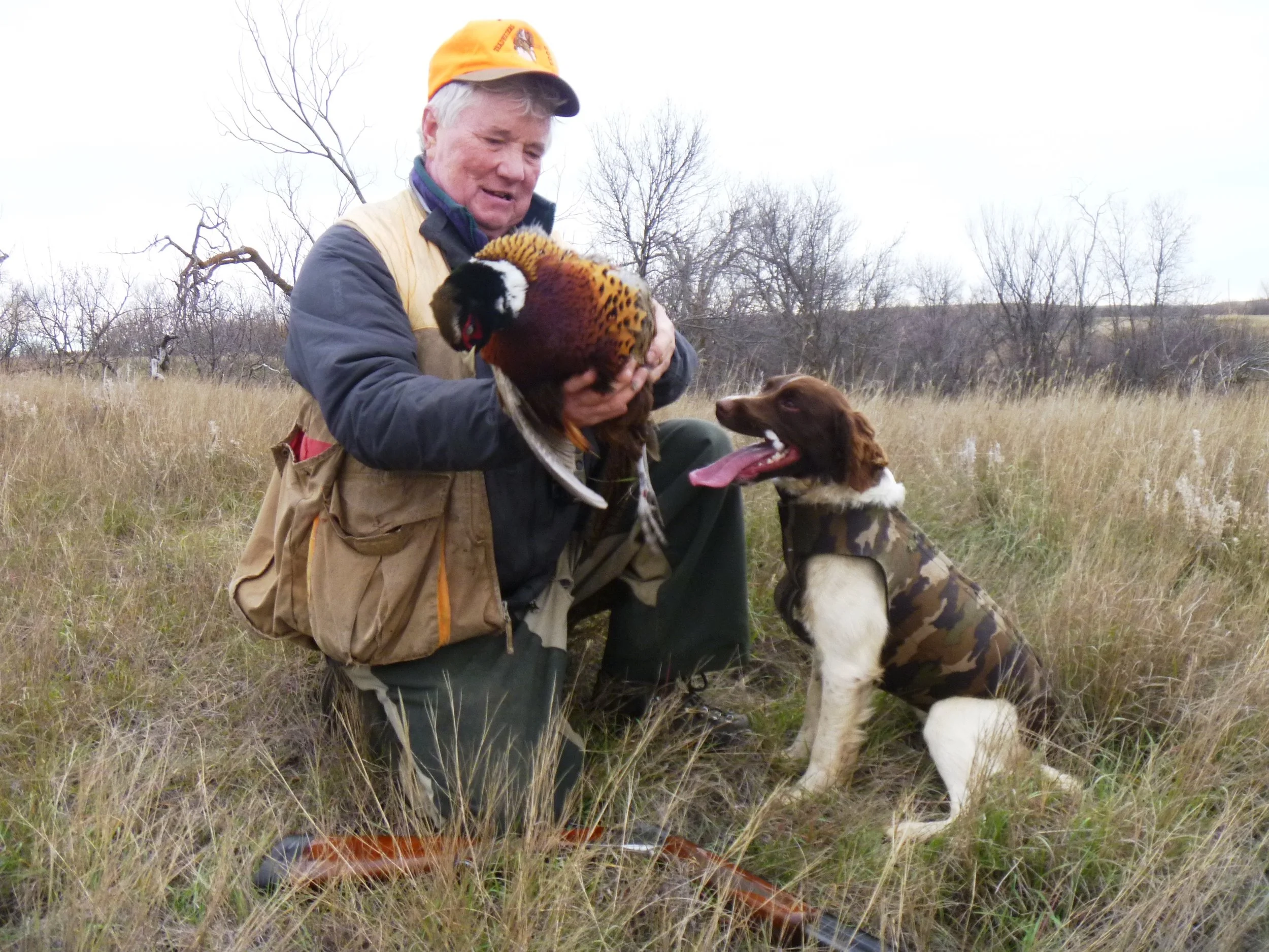 Dollie's Big Retreive.JPG