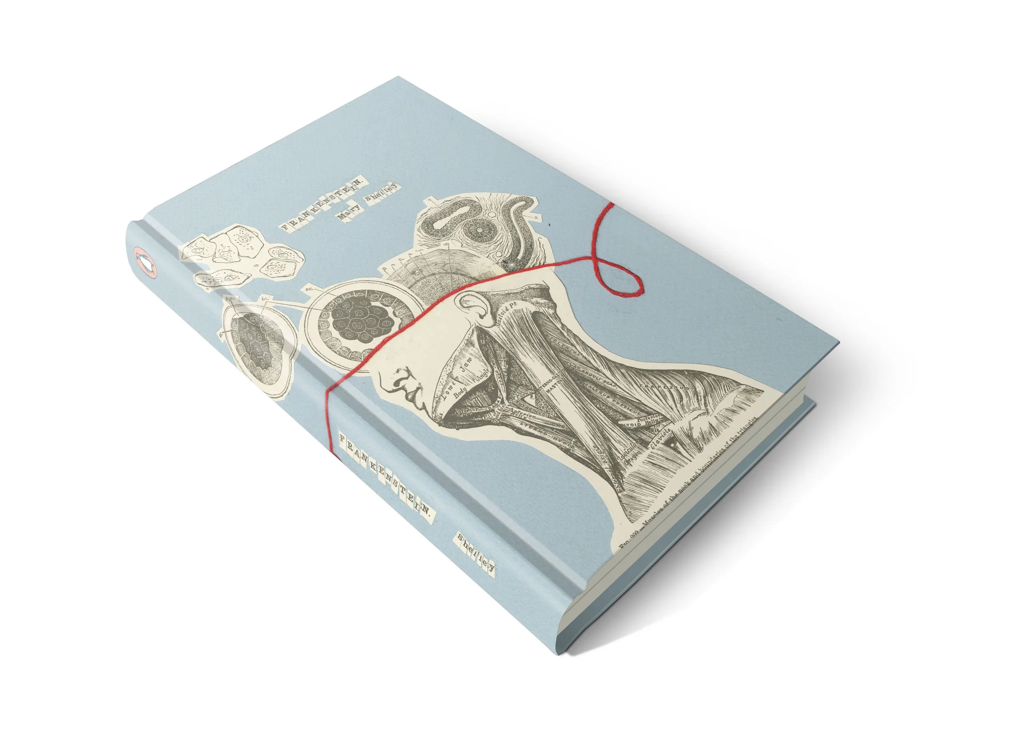 Frankenstein Book 2_o.jpg