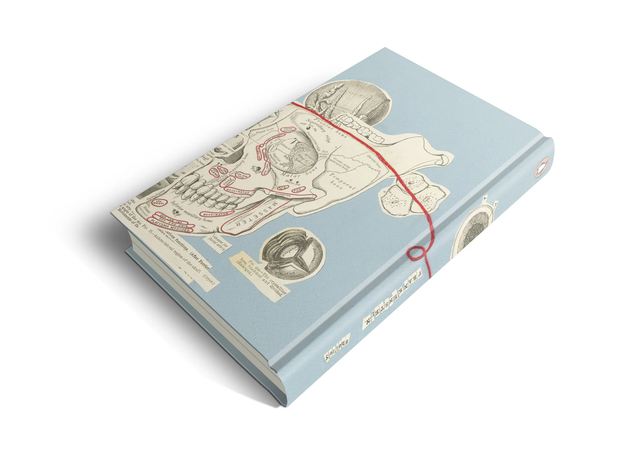 frankenstein book back_o.jpg