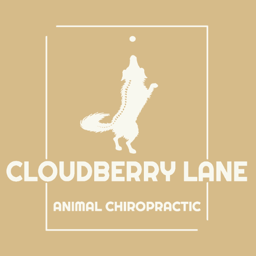 Cloudberry Lane Animal Chiropractic