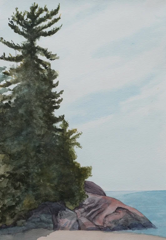 Pine on Rock Point