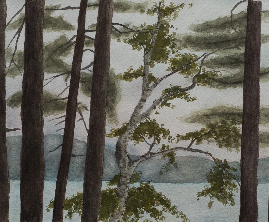 Lake Through the Trees