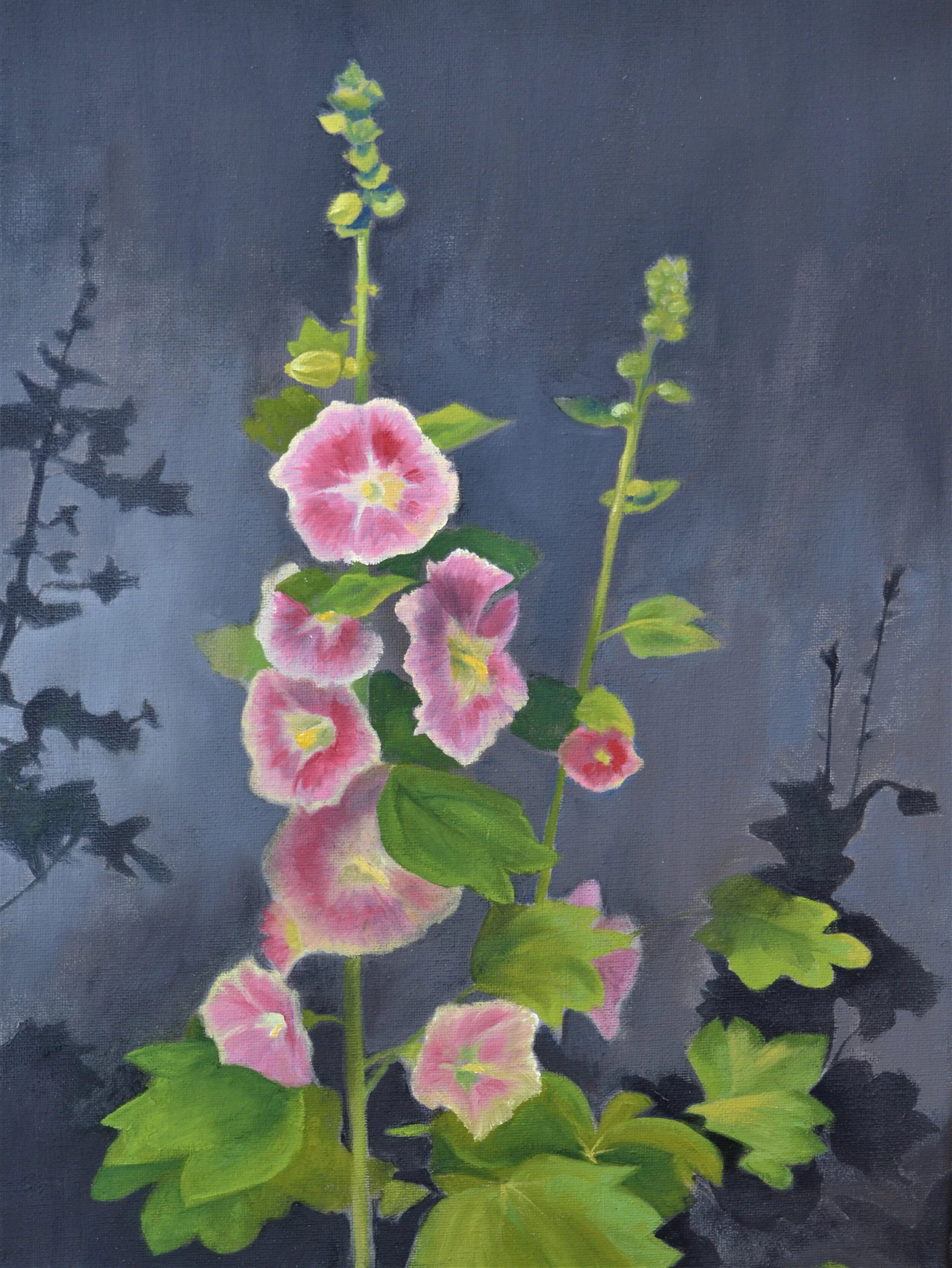 Pink Hollyhocks
