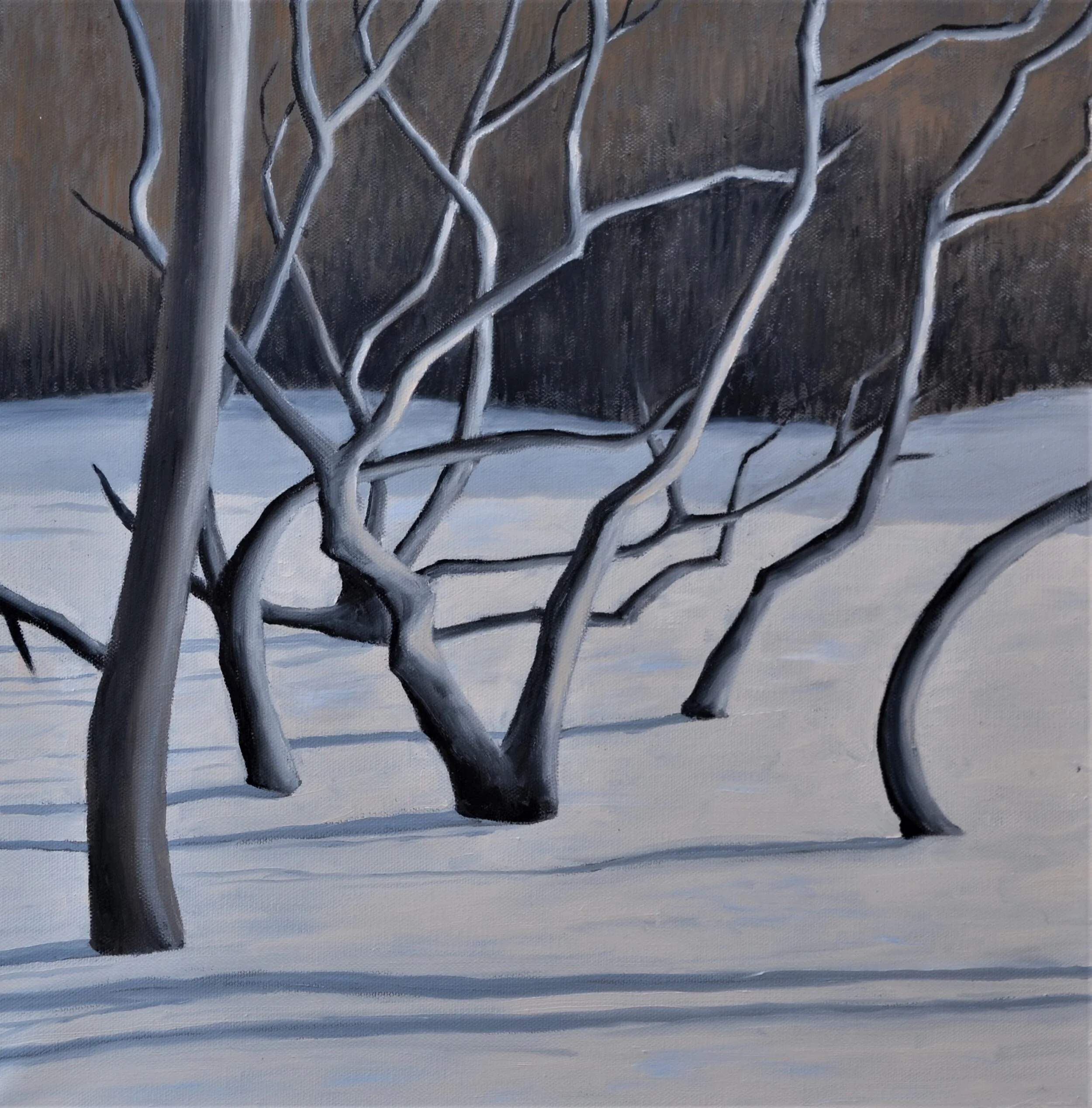 Winter Sumacs