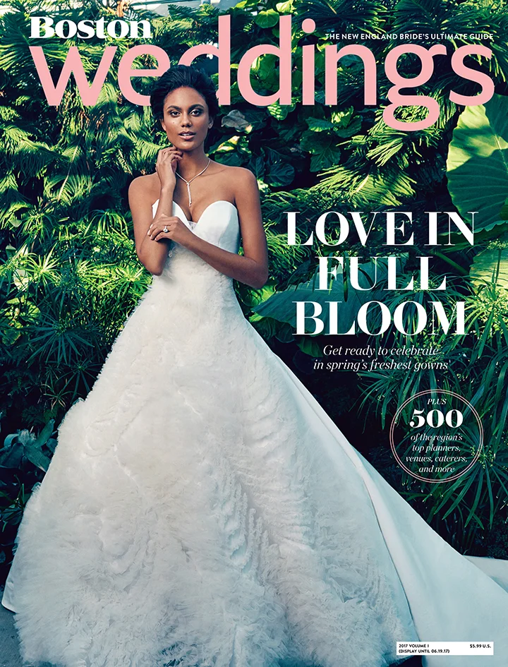 0_17v1cover.jpg