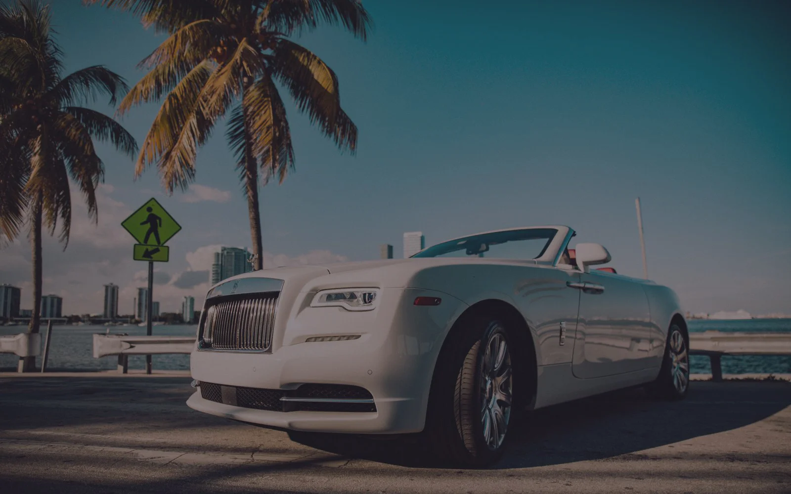 IMG-20190119-WA0011 copy.jpg