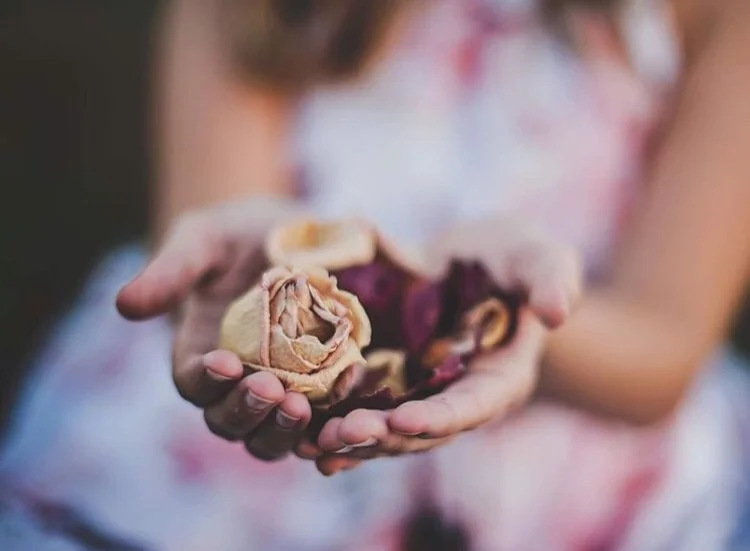 The Springs Have Sprung. Journey with the Goddess Brigid, delve into the inner maiden as the wheel of the year has turned to the east. The Spring as new life and possibilities start to emerge. Guided journey with Brigid, yoga nidra journey with the maiden, self inquiry, spring equinox ritual, and more.