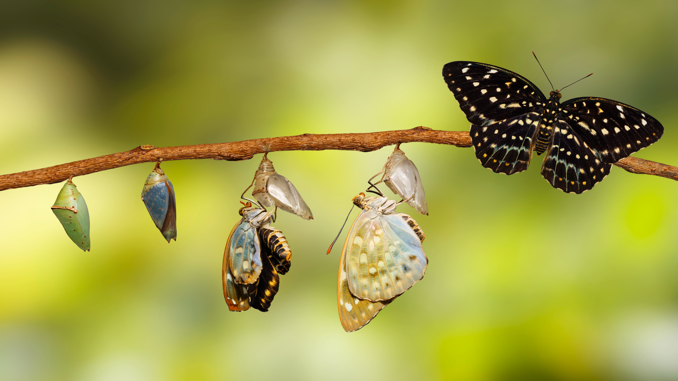 How to Transmute Energy: A Grounded Guide