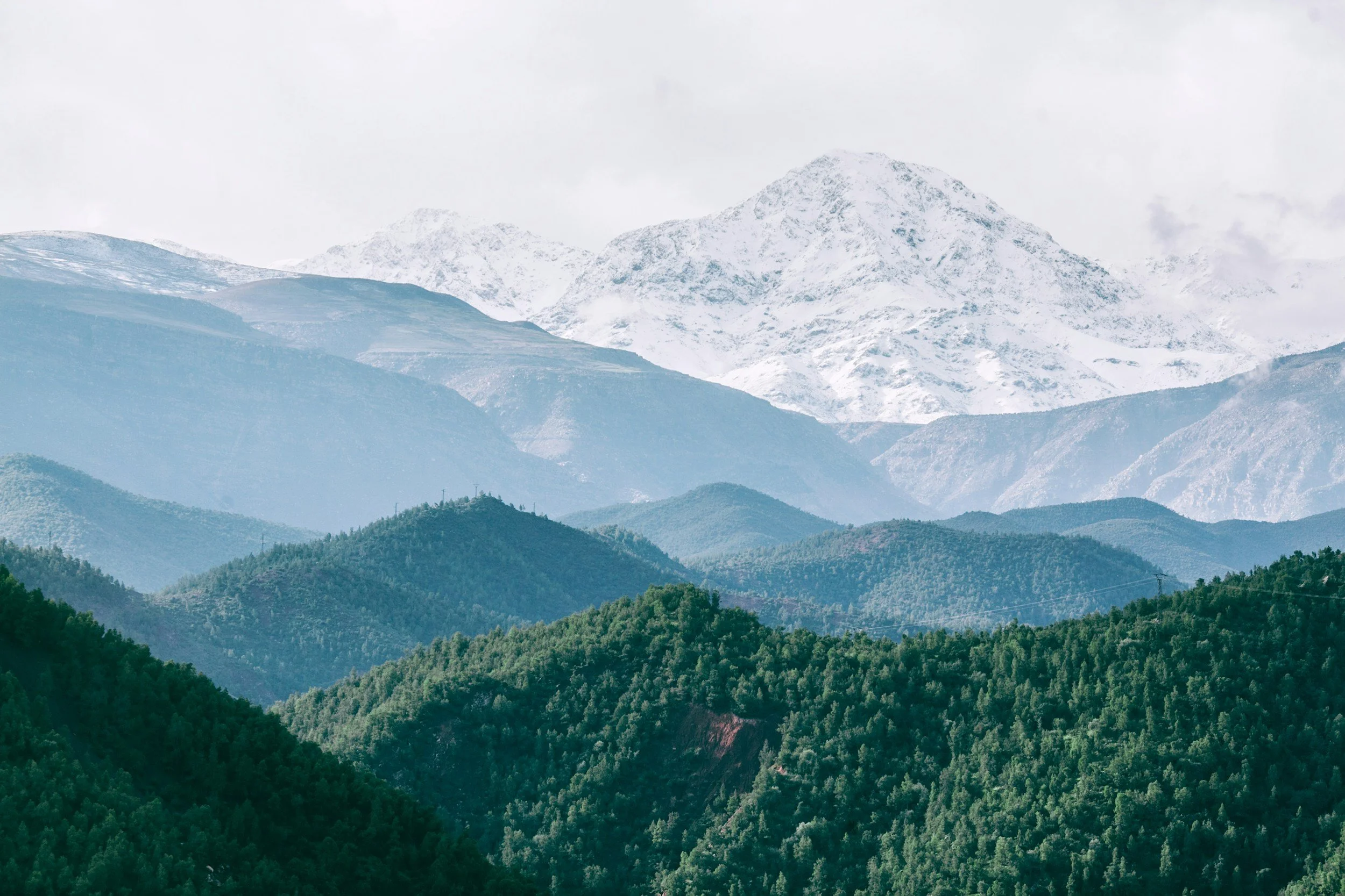 unsplash-image-tvAHVu1792A.jpg