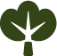 Asset 9.png