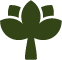 Asset 10.png