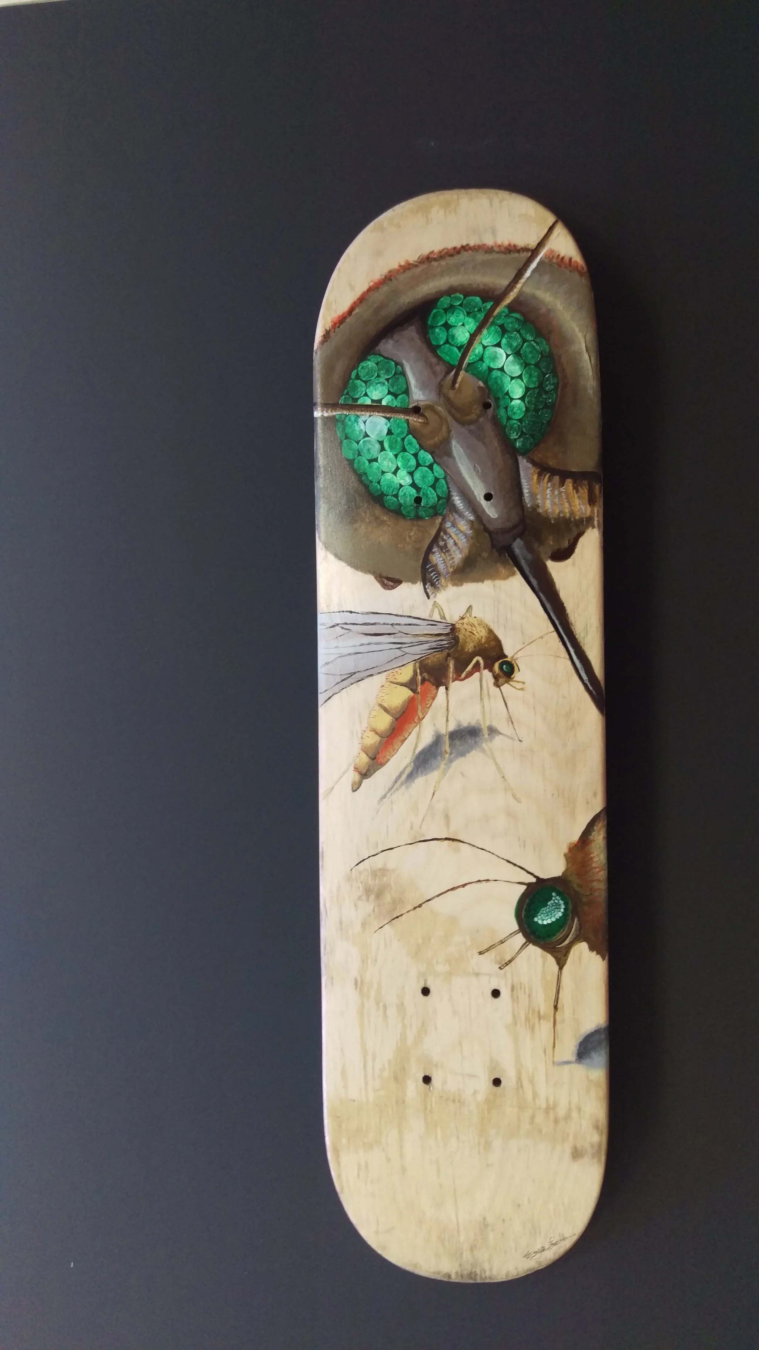 IMAG0311.jpg
