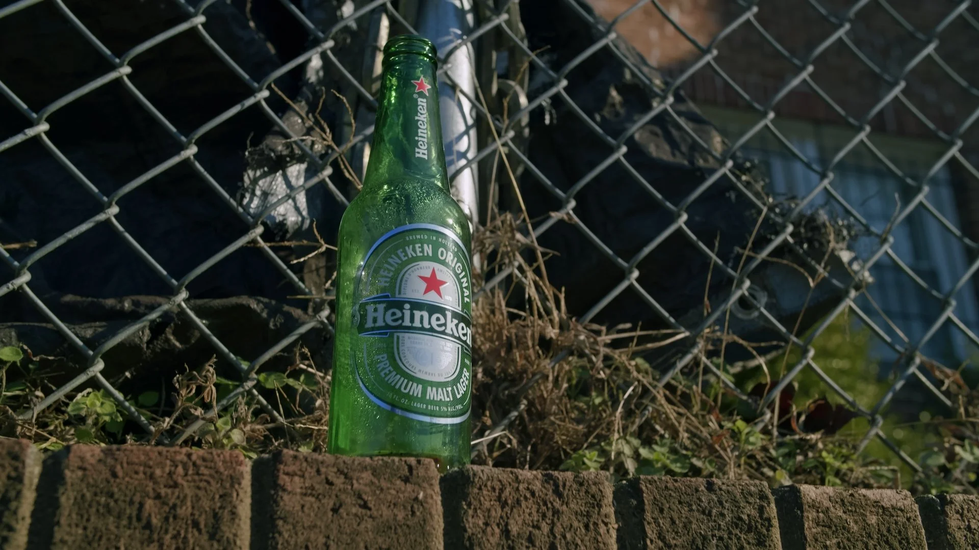 EmptyBeerbottle_1.1.1_1.1.1.JPG