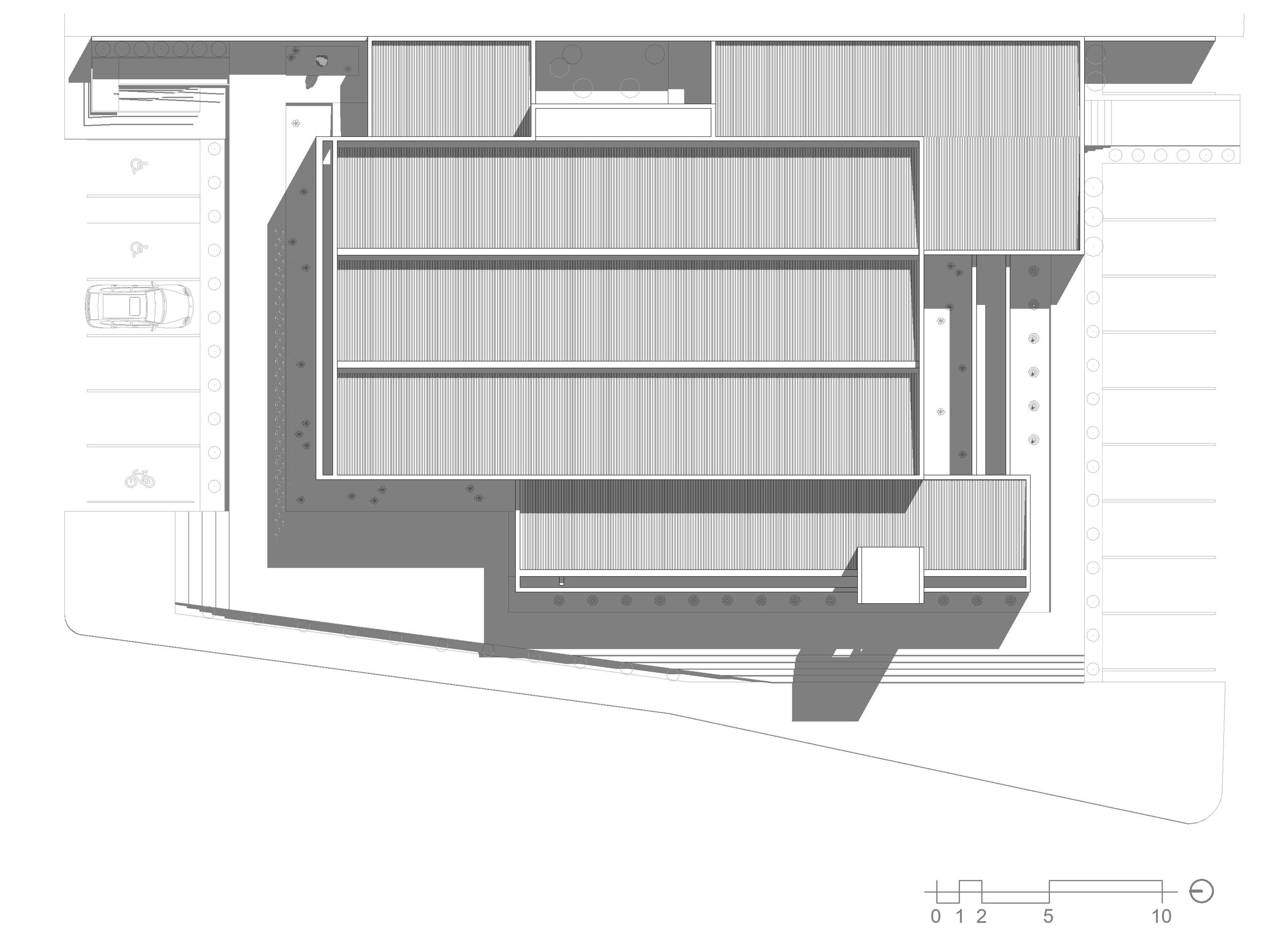SITE.jpg